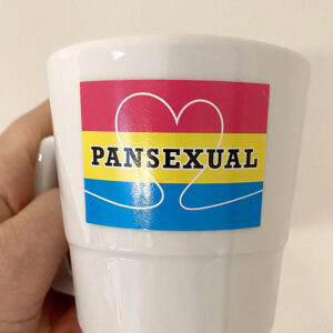 10 Stück  „PANSEXUAL“ Sticker